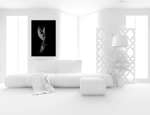 Silent Retreat